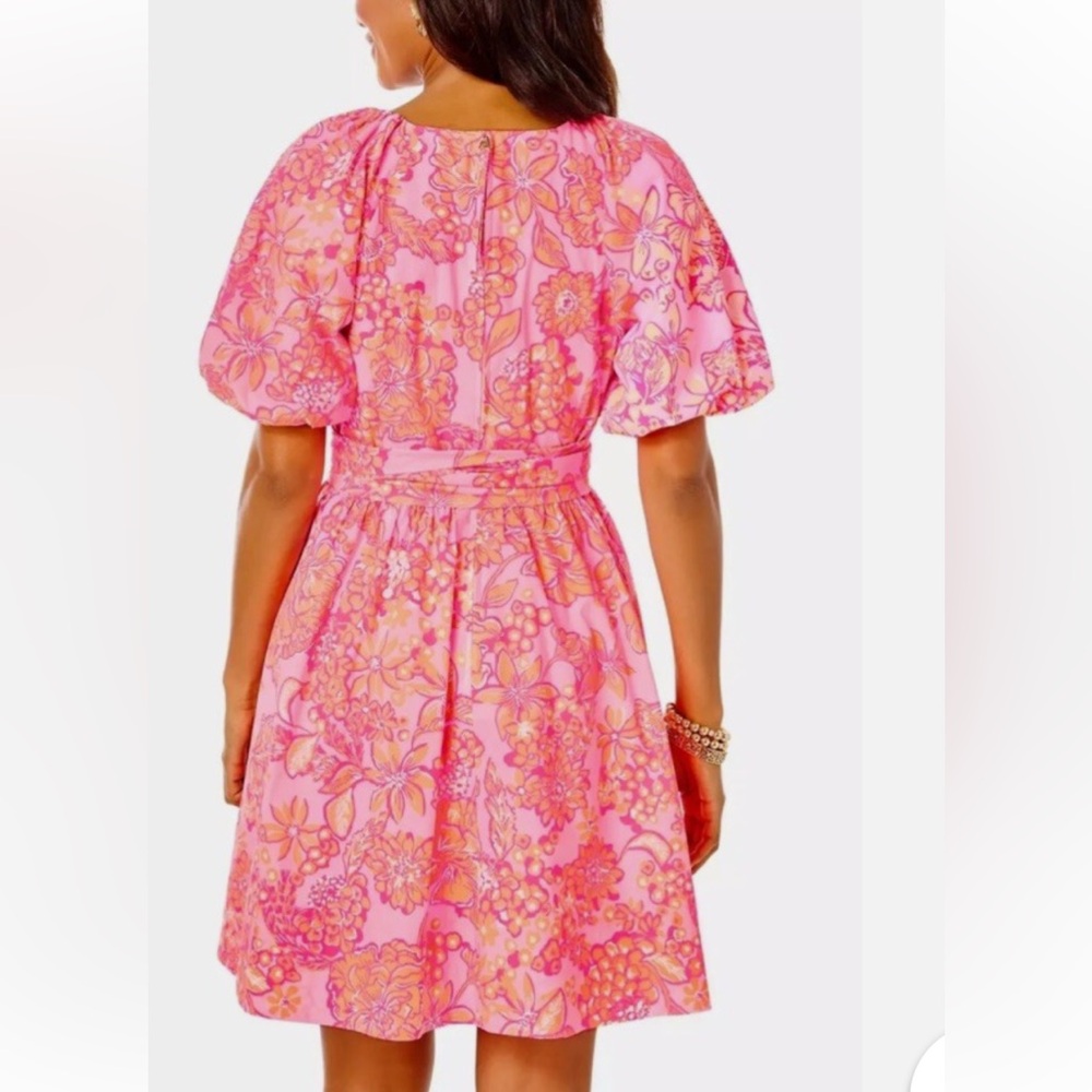 Lilly Pulitzer Knoxlie Dress Mandevilla Baby Days Bloom size 0 - Picture 5 of 14